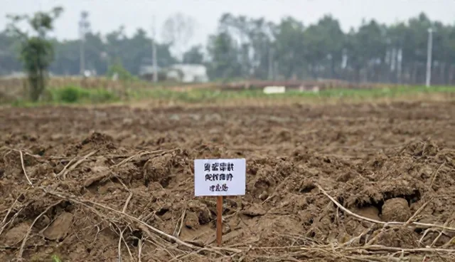 核对清单：法律合规咨询场景中的关键评估要素